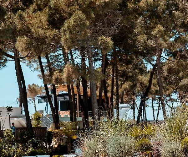 Diamma Conference&spa